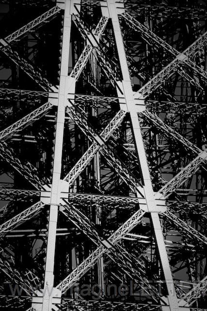 Wall_Art_Alphabet_Photography_Art_ 127.jpg